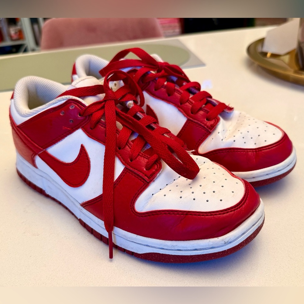 Nike Dunk Low Next Nature